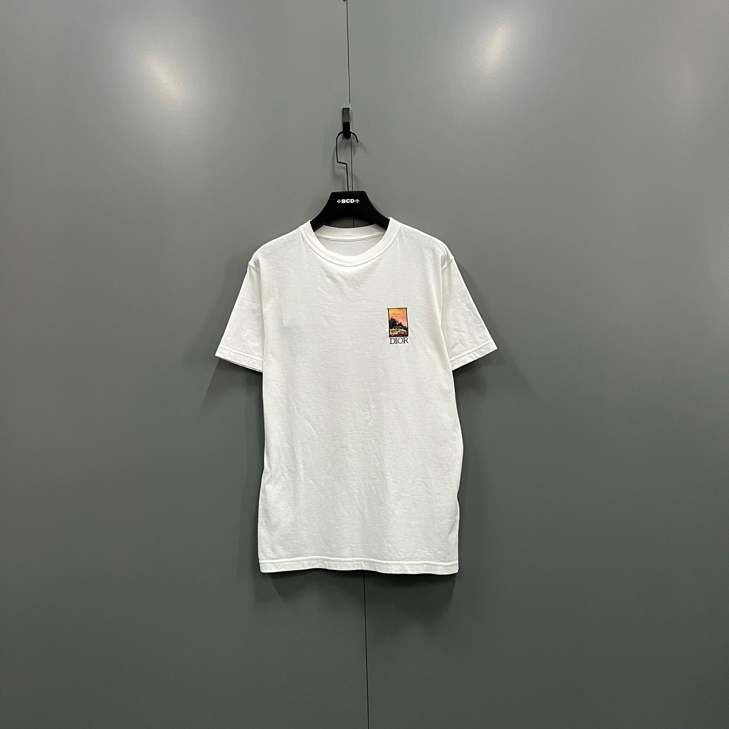95新 DIOR/迪奥 AM 207189 风景字母印花短袖 S码 无领标