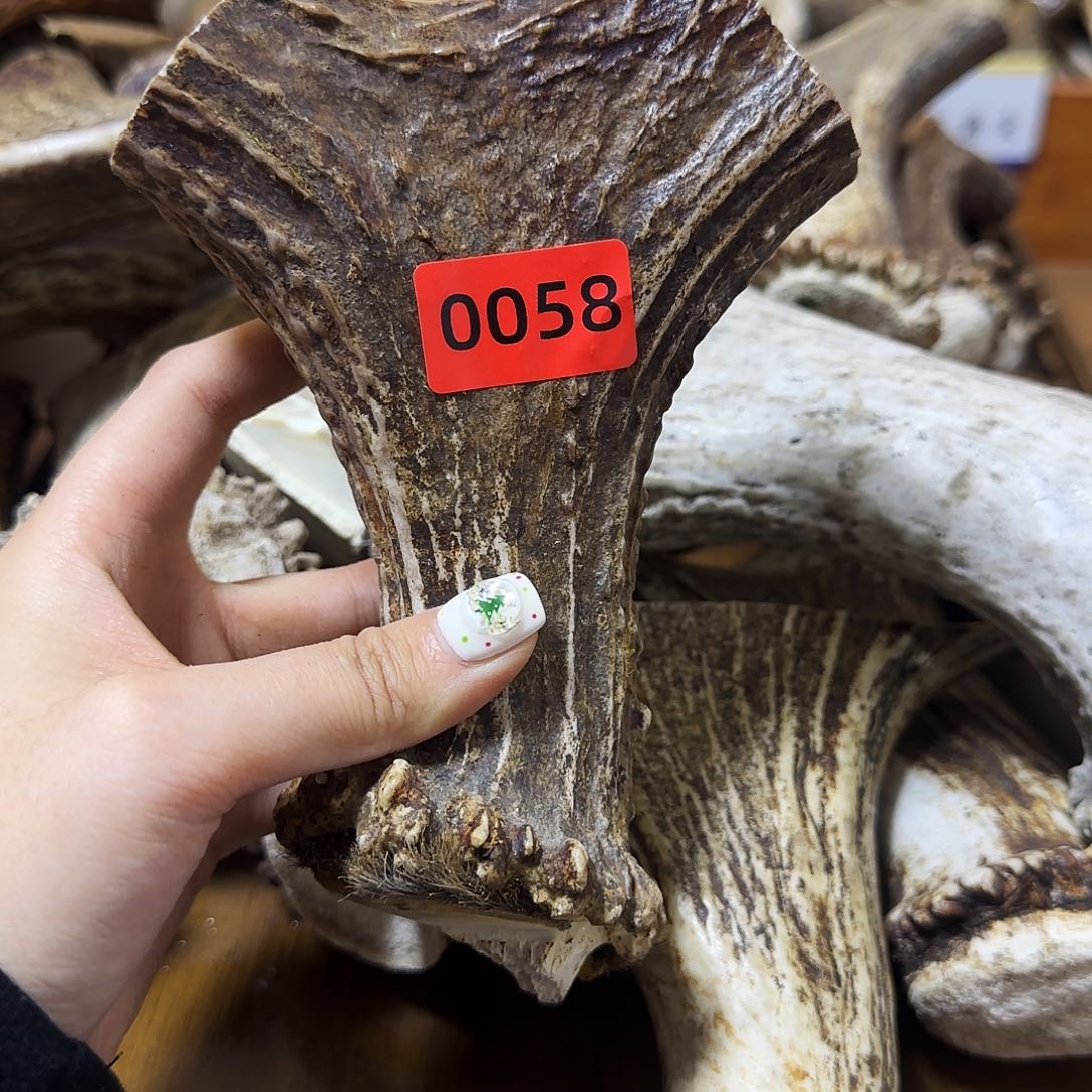 手串/手链鹿骨弹弓0058 长15 弓10 柄3.3