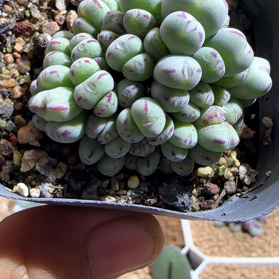 茜***气哈哈哈哈哈哈哈53708