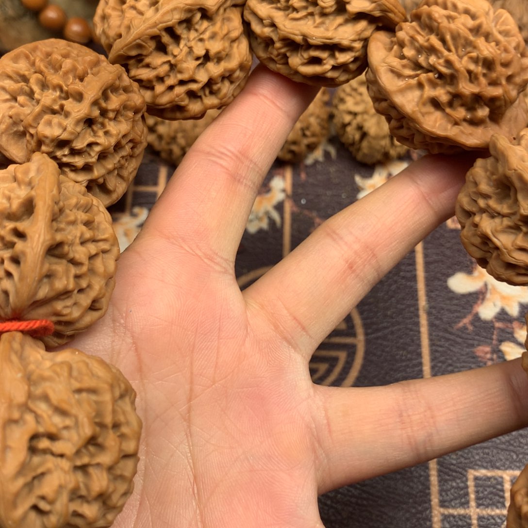 公****明秦岭山脉和黄土高原的山脉