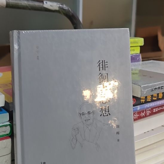 徘徊的思想精装，谢辉老师著作，法制出版社学术思想。