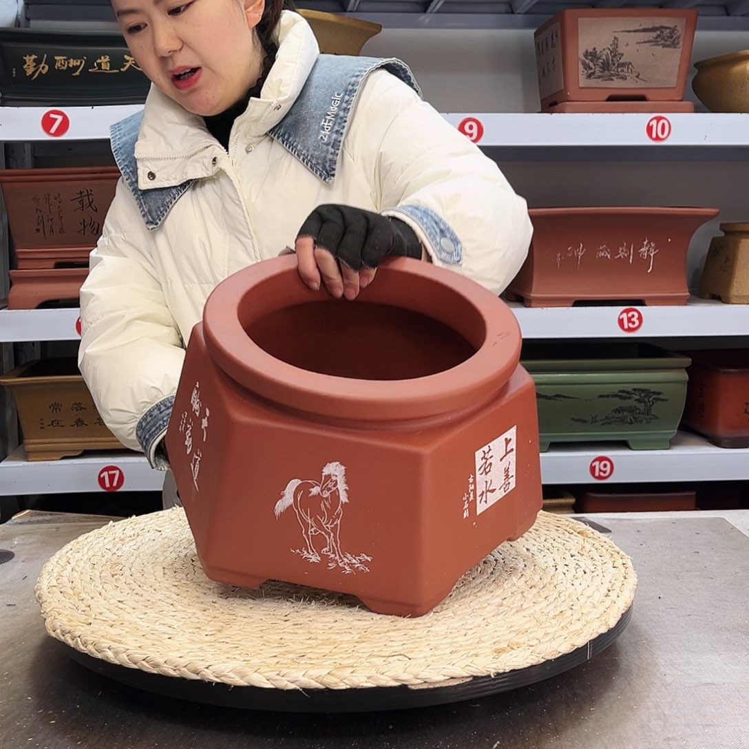 紫砂花盆紫砂花盆