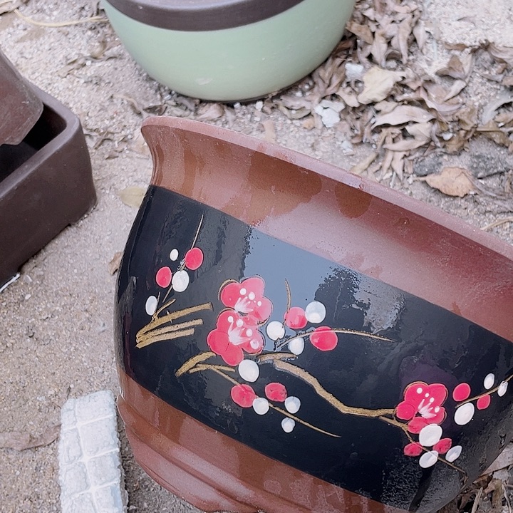 紫砂t004中花片海洋食品