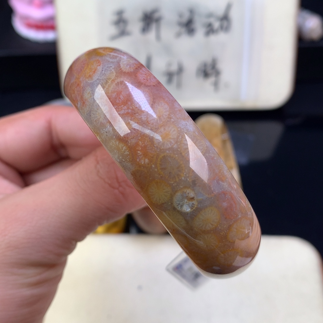 硅化珊瑚（珊瑚玉）未镶嵌颈饰16号海胆花花57.6圈