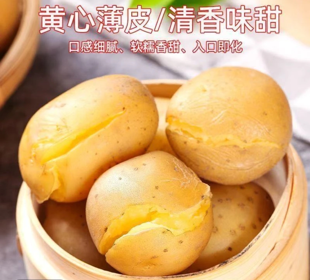 正宗东北黄皮土豆整箱9-10斤装包邮