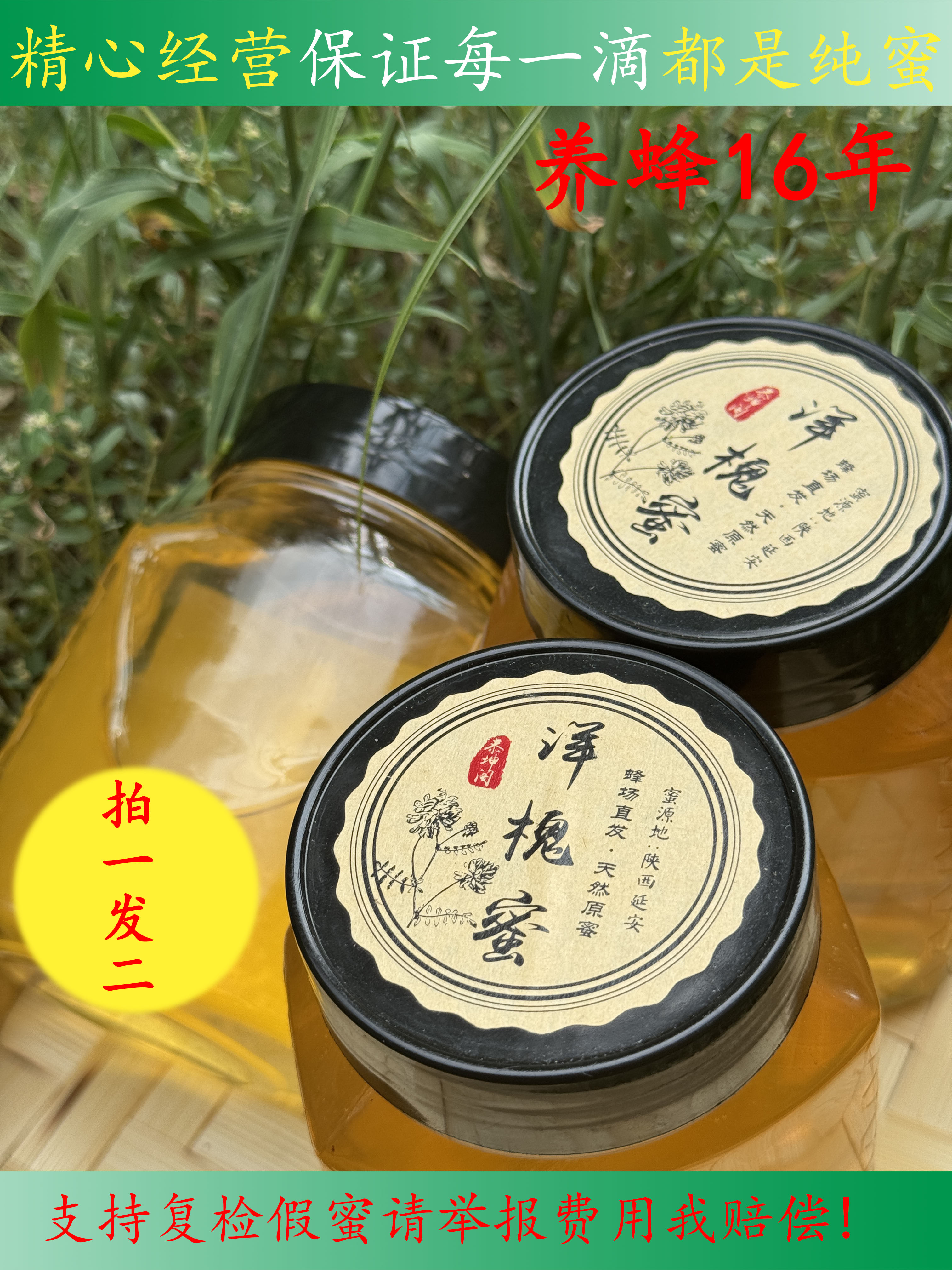 洋槐蜜蜂蜜源蜜蜂农自产自销包邮自然