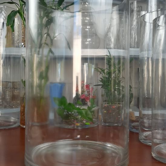 玻璃昌达玻璃直筒高度40口径25