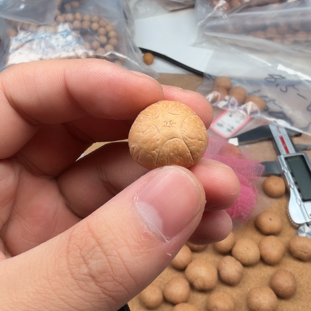 凤眼菩提吊坠五星2