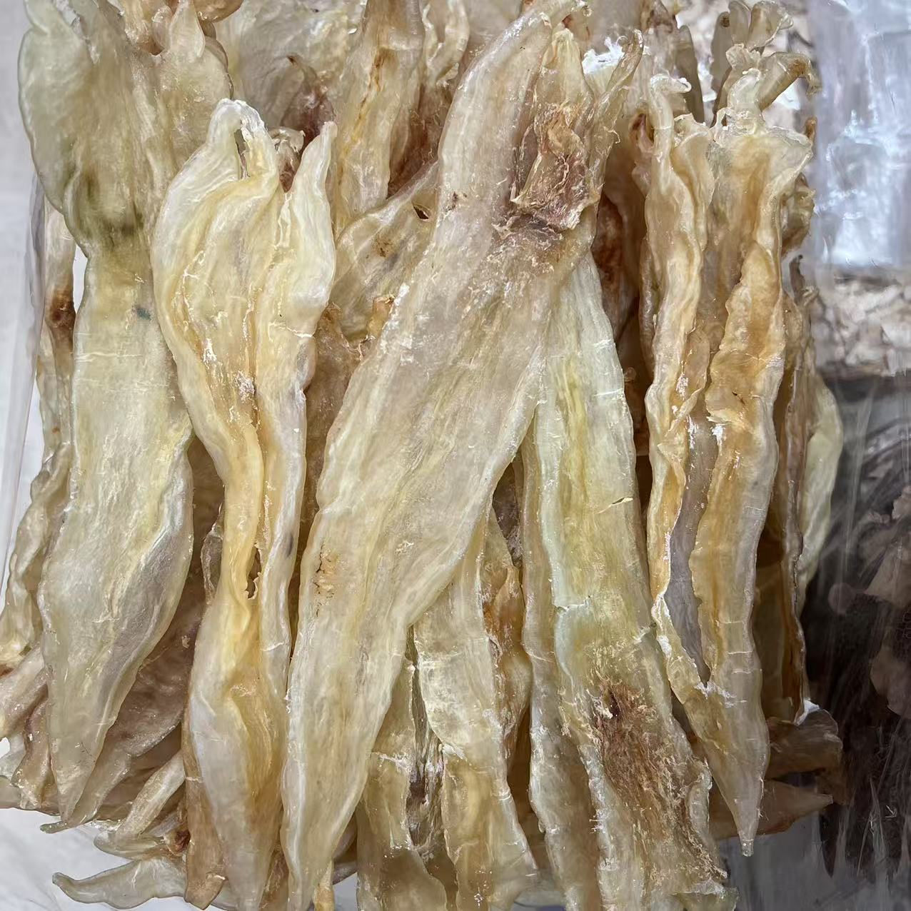 北海阴阳公 鱼胶 原色货（胶）