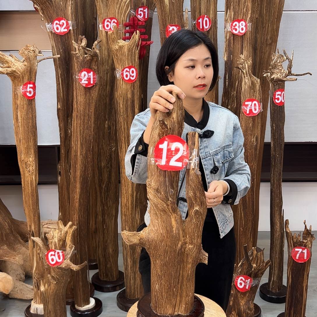 沉香摆件海南沉香摆件