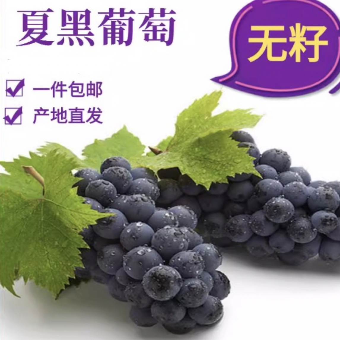 夏黑葡萄树苗南北方庭院盆栽地栽 直播间一物一拍