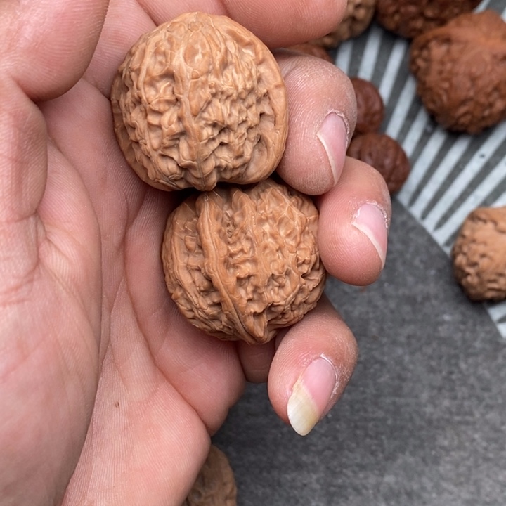 文玩核桃把件美**活白狮子