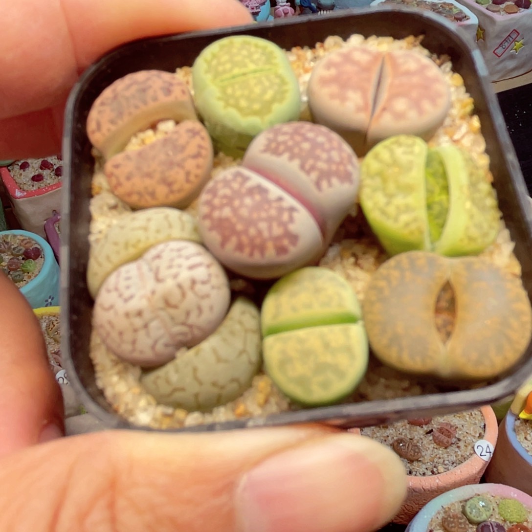 074。88888888888888888