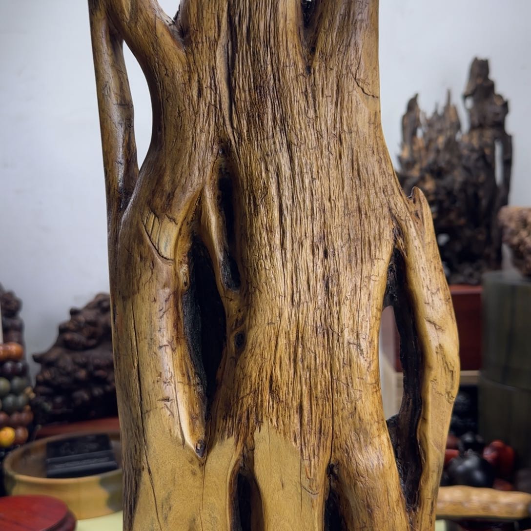 大果紫檀（缅甸花梨）李****饺