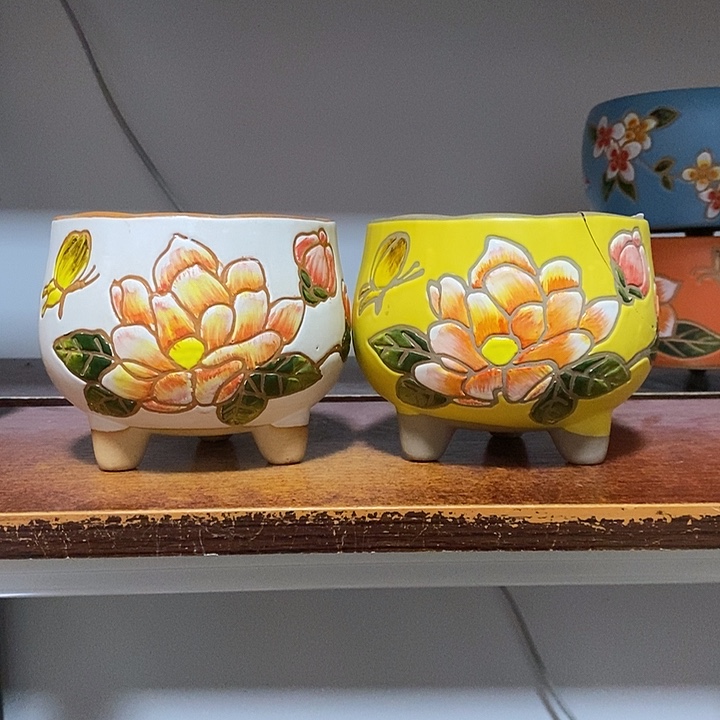 韩式多肉植物花盆