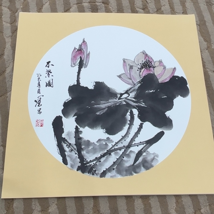 国画花鸟等多种鸟类的栖息地和