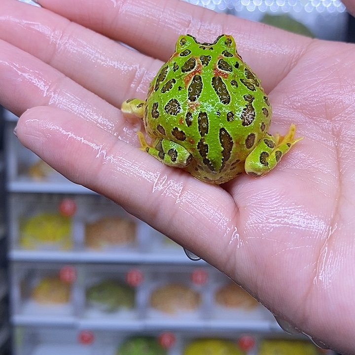 特价秒杀现货供应瑕疵