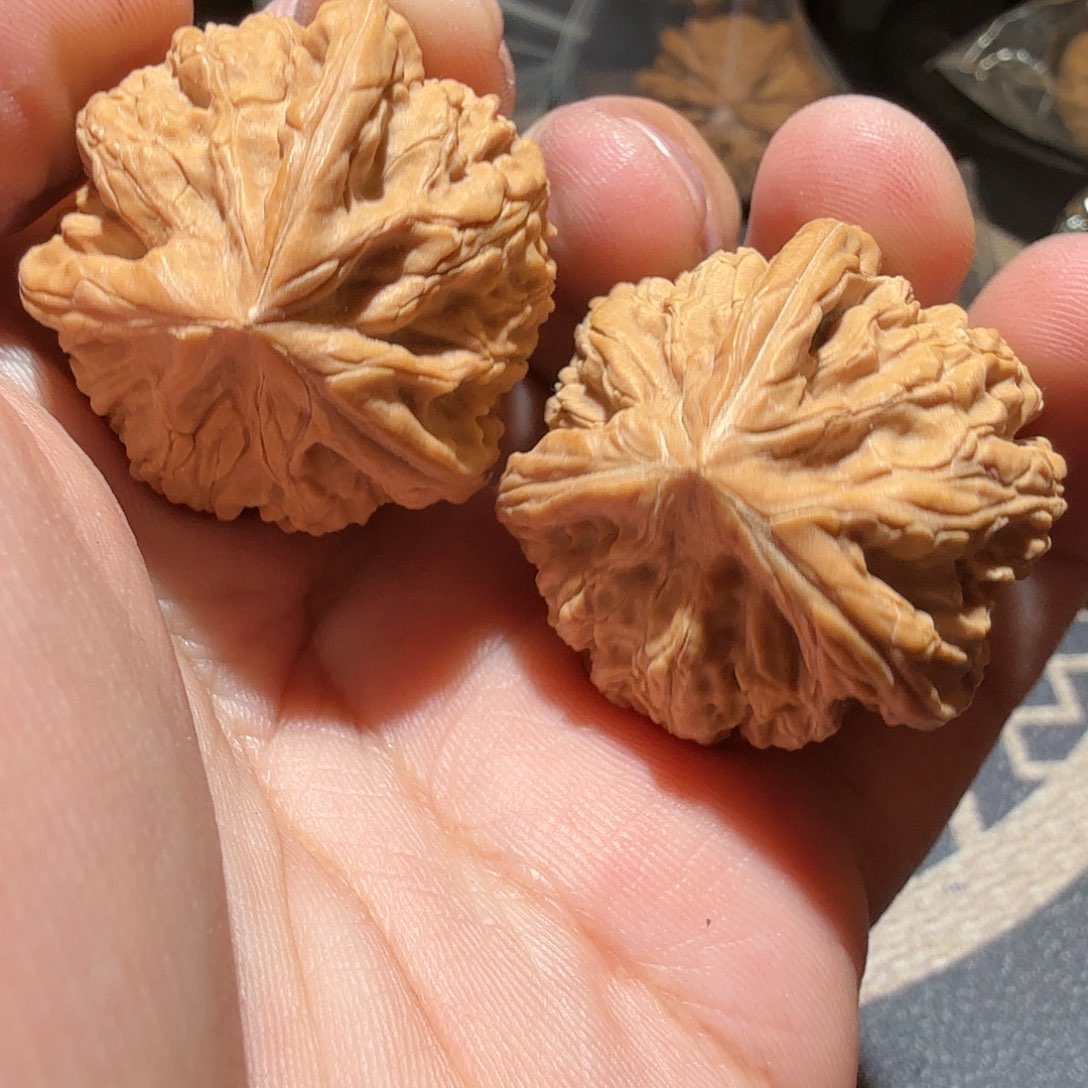 文玩核桃把件御龙正奔