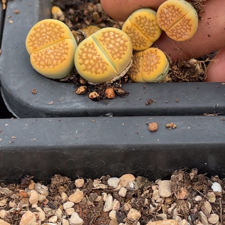 40000888888888808888888