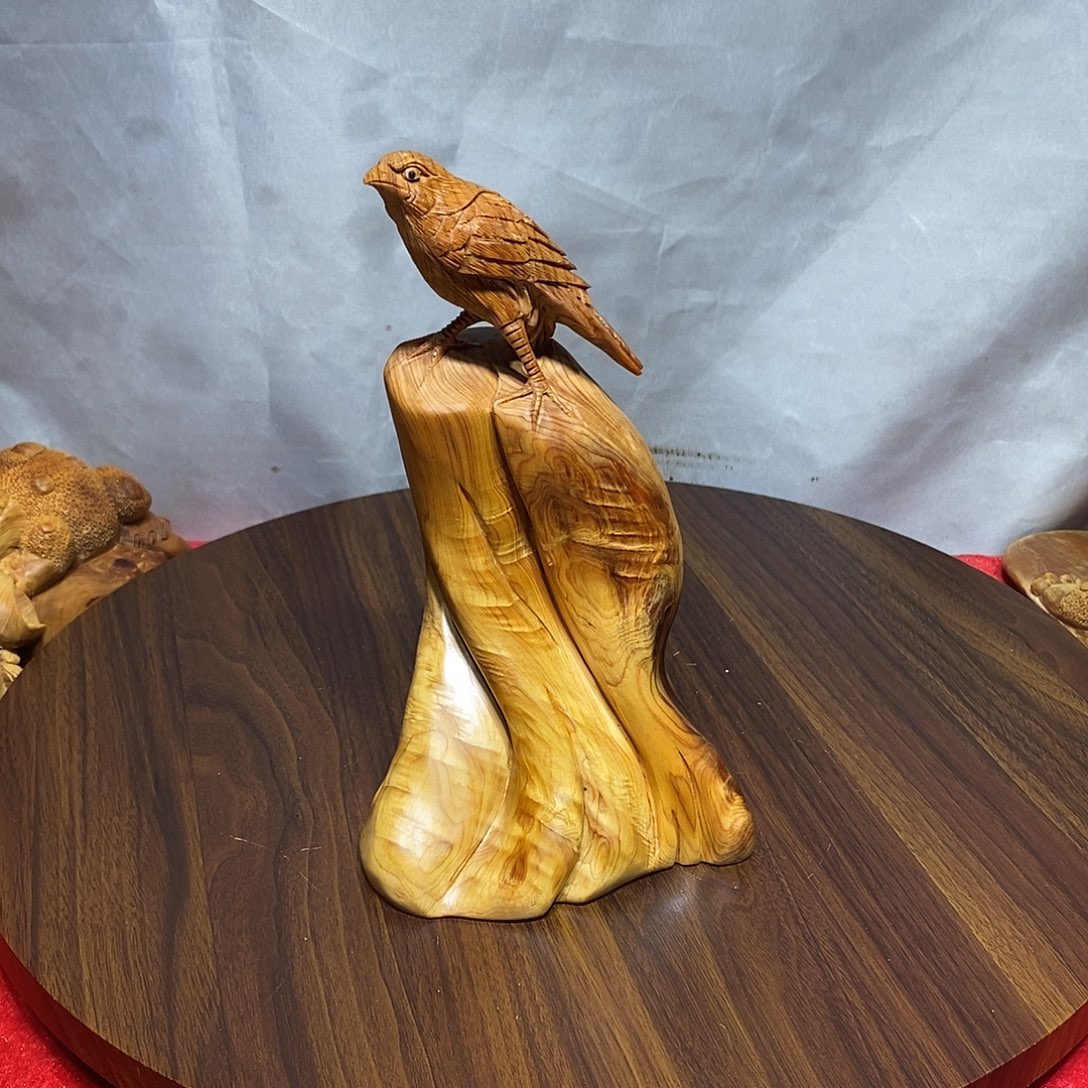 简***乐柏木（崖柏）崖柏小鸟