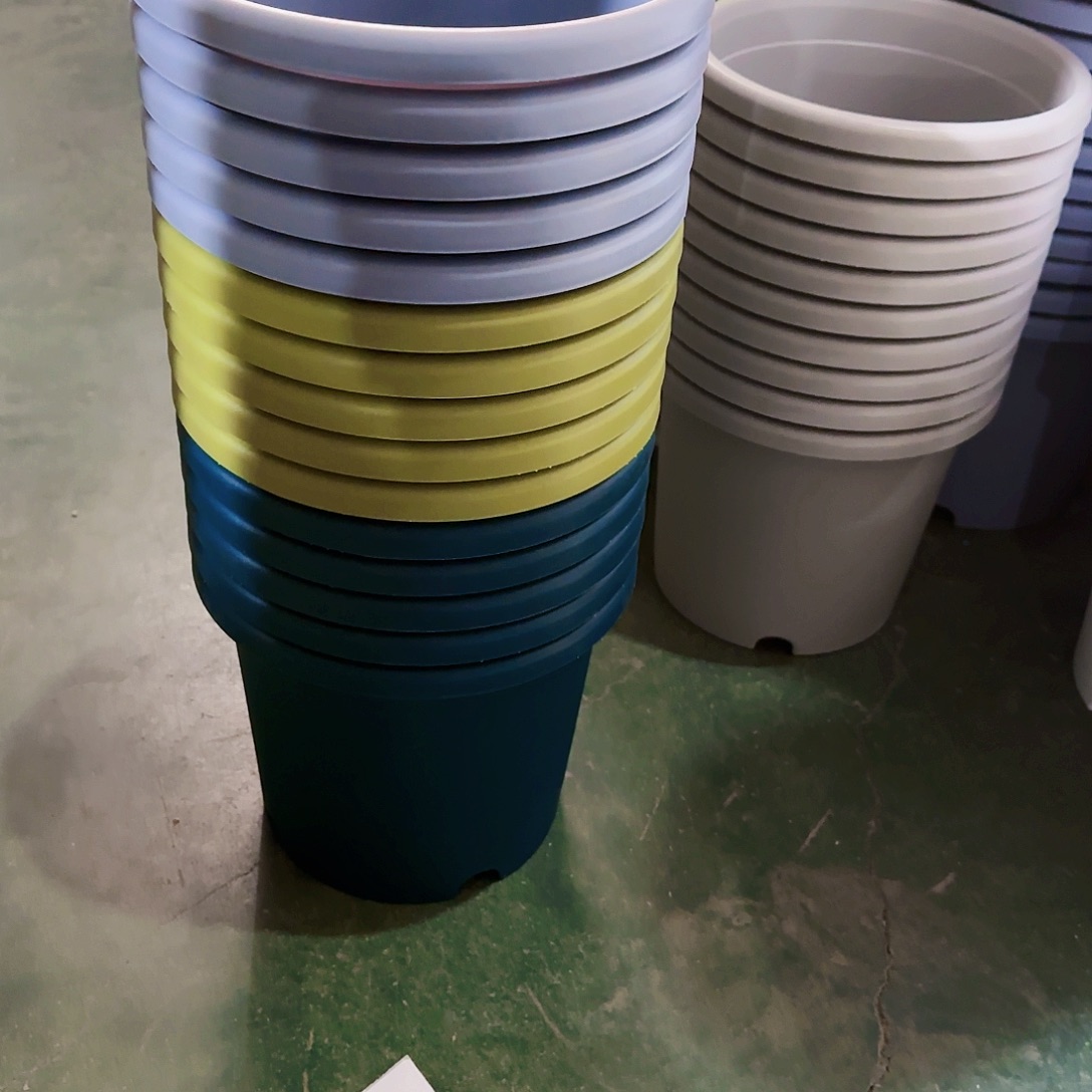 树脂编号。     1981