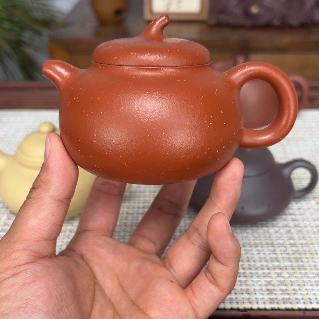 紫砂茶壶茄瓜200毫升红泥