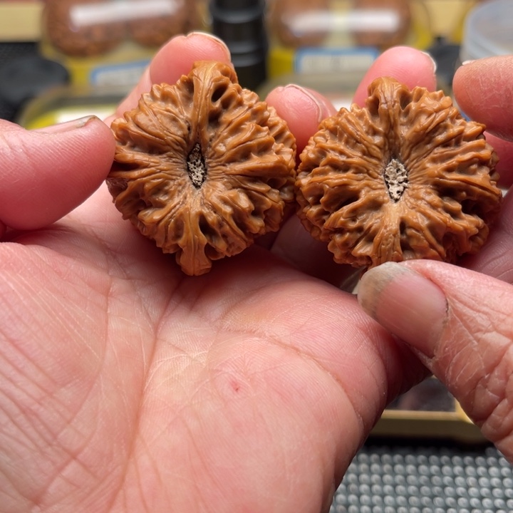 文玩核桃把件龙门涧41➕