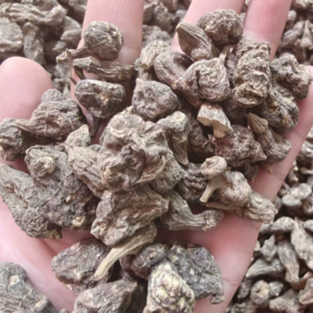 中缅山货-现收土特产/胰岛果