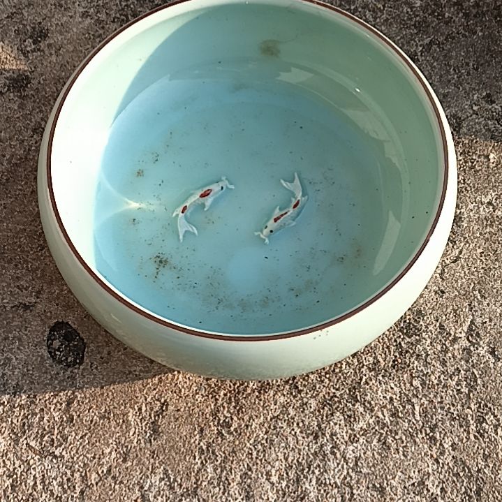 瓷片，，，，，，，，，，，，，，，，，，，