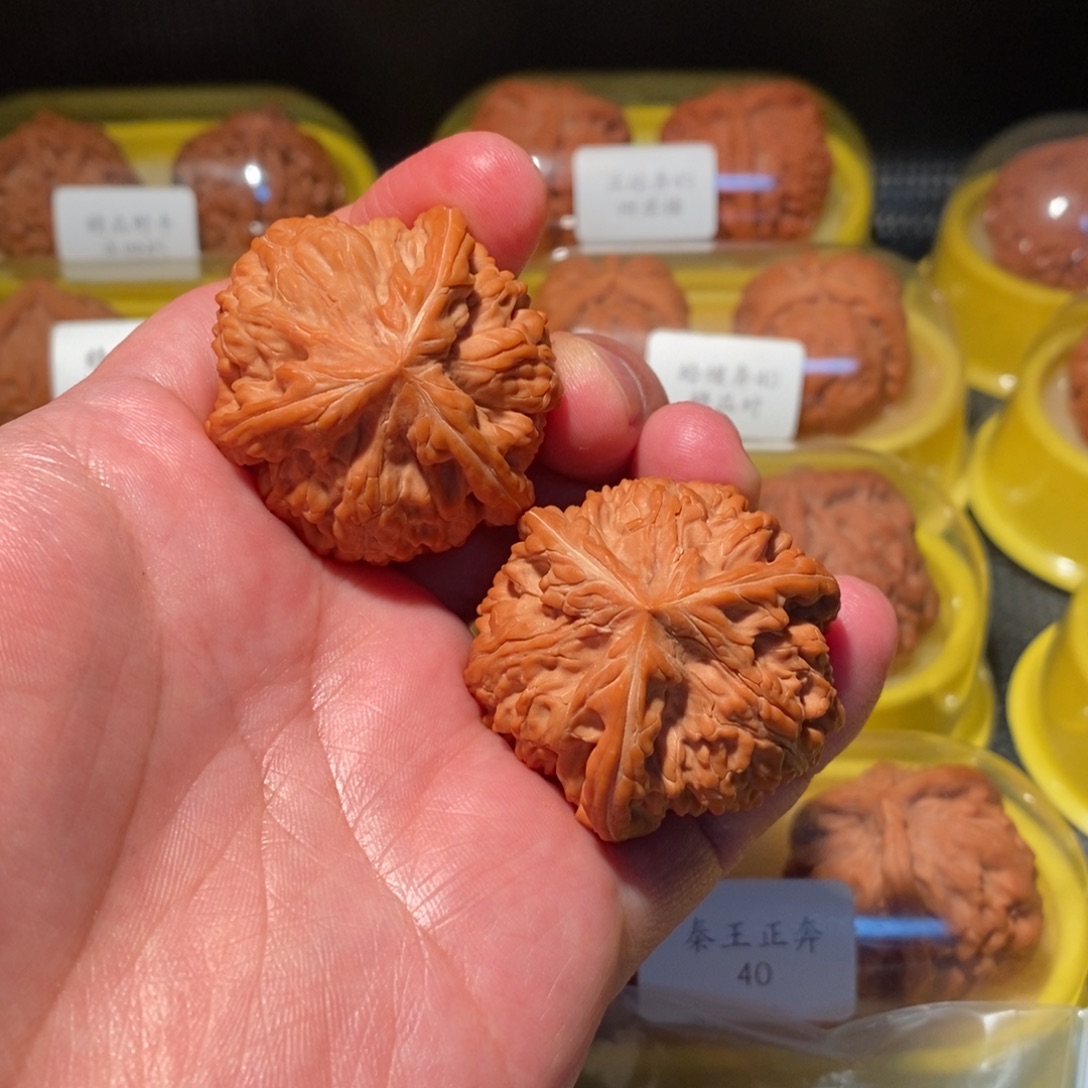 网***了41矮球御龙粗筋正球奔精品对