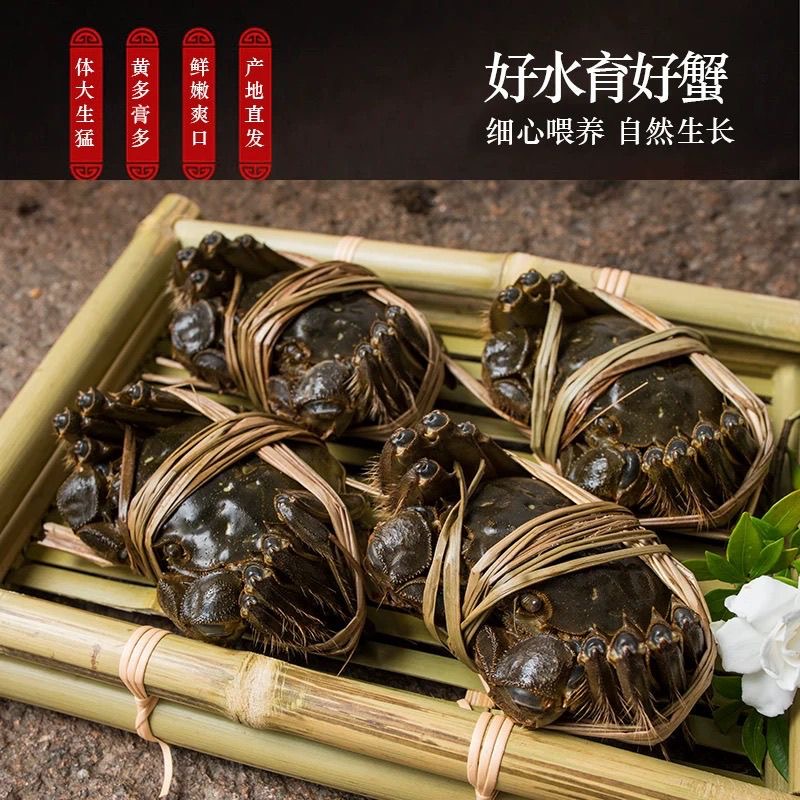 【活蟹】苏州大闸蟹（公蟹5.0-4.7两+母蟹4.0-3.7两）10/8/6只