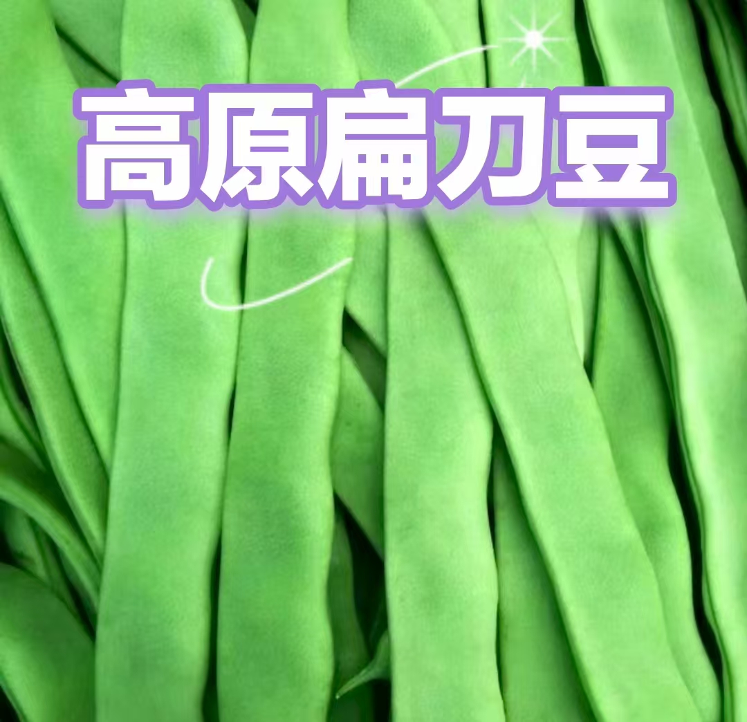 云南露天高海拔农户自种扁豆四季豆新鲜蔬菜
