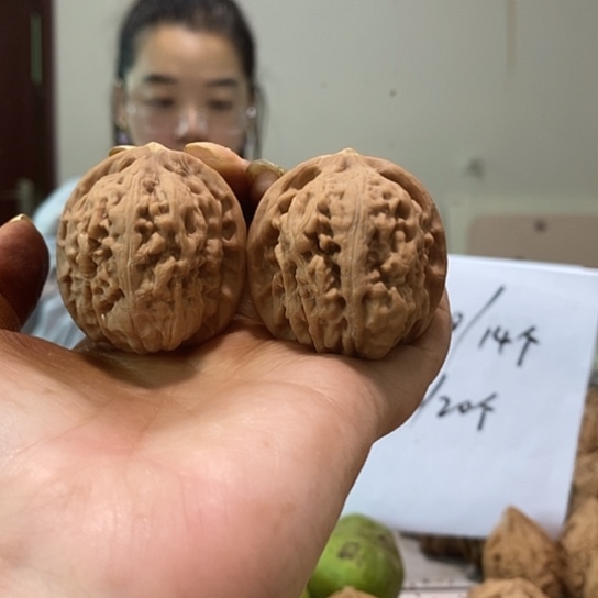 吊坠文玩核桃40凤凰台有黄