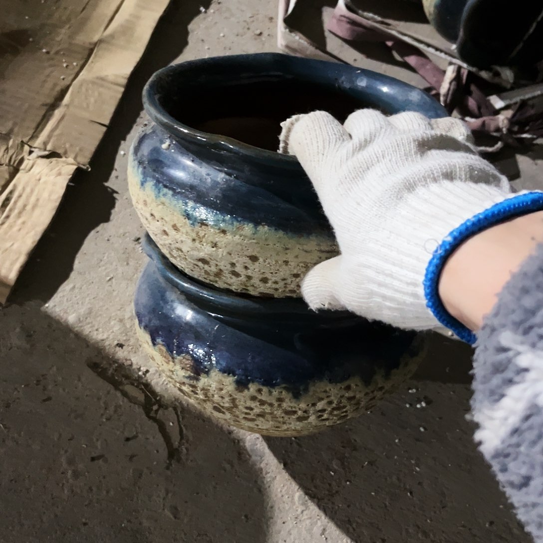 紫砂花盆花盆里的小猫咪