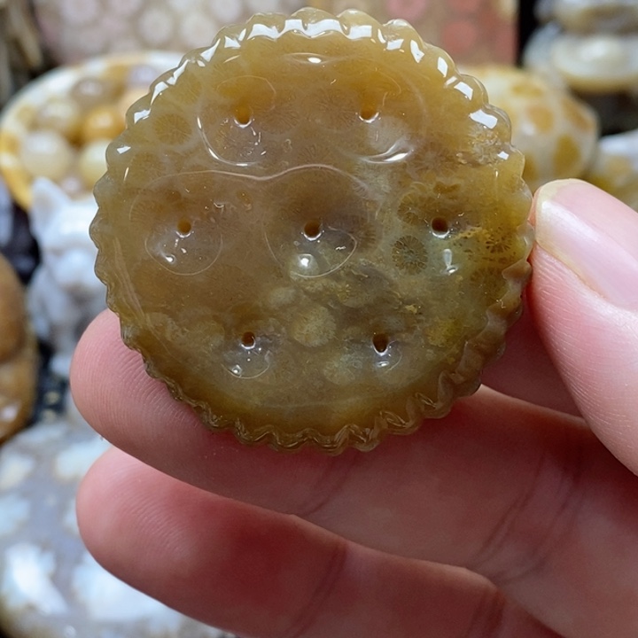 硅化珊瑚（珊瑚玉）颈饰未镶嵌