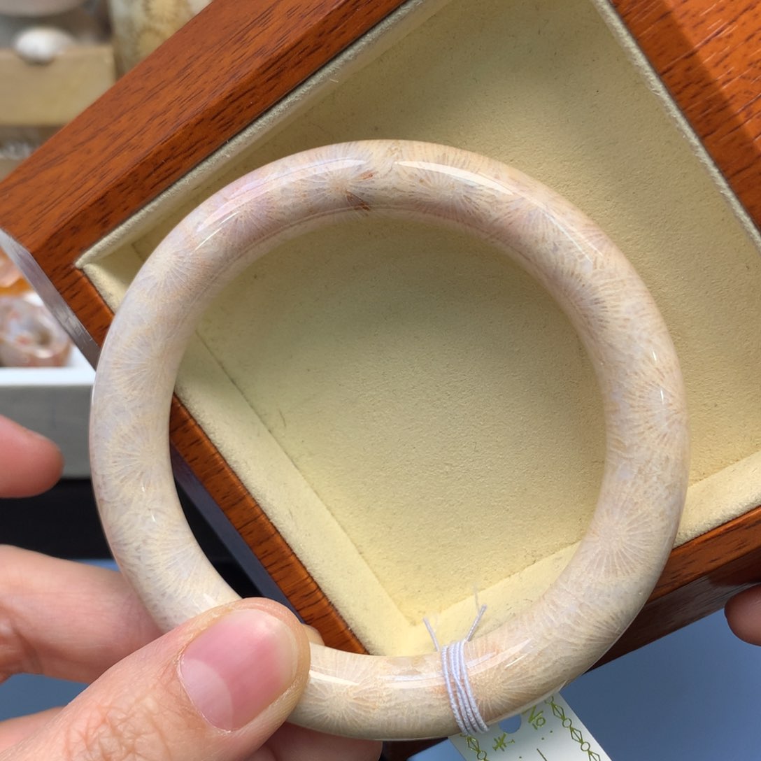 硅化珊瑚（珊瑚玉）手镯未镶嵌赞比大花60口