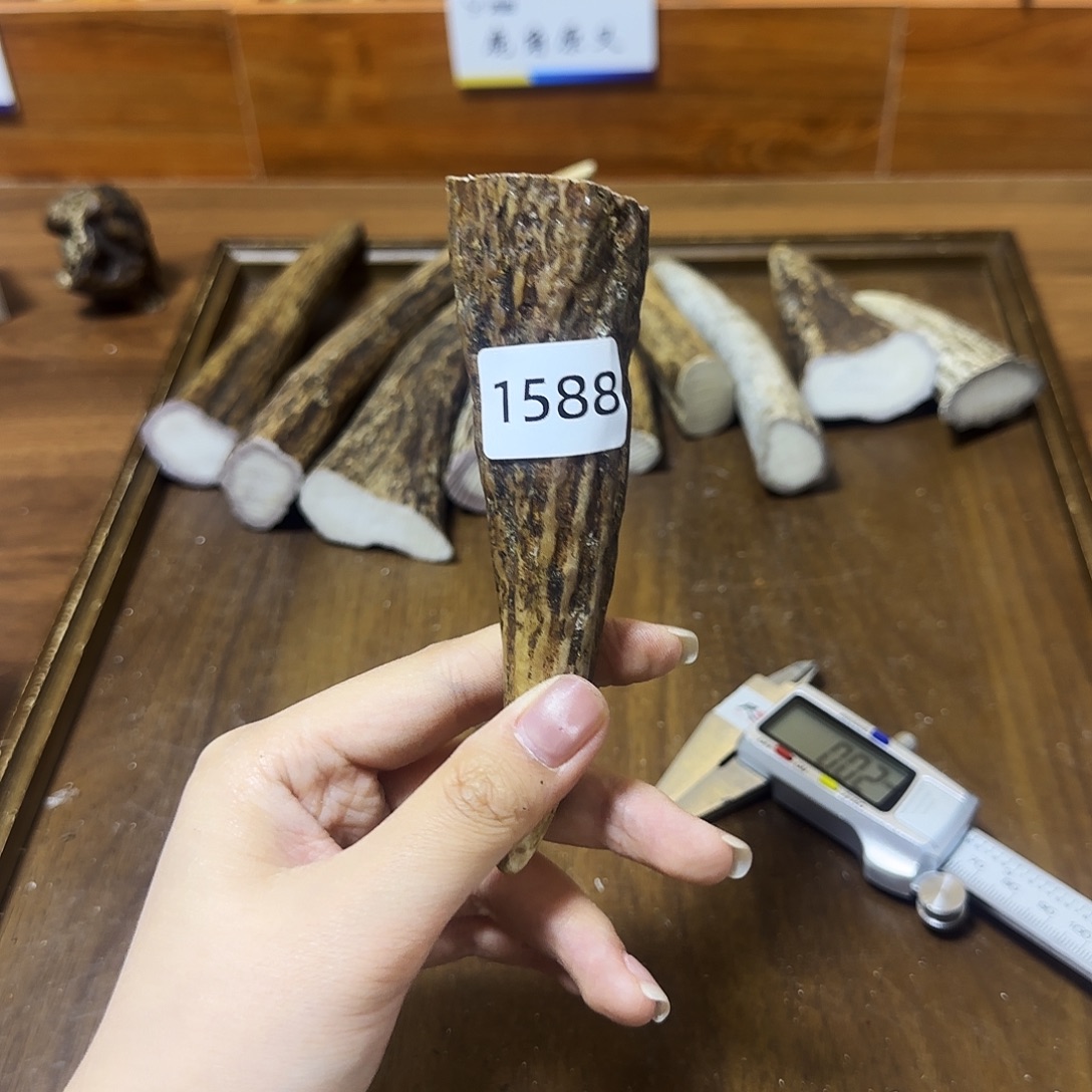 手串/手链鹿骨1588 角尖