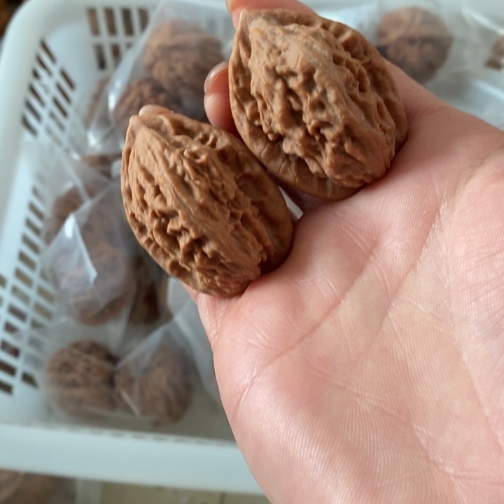 京*众大红袍大红袍大红袍