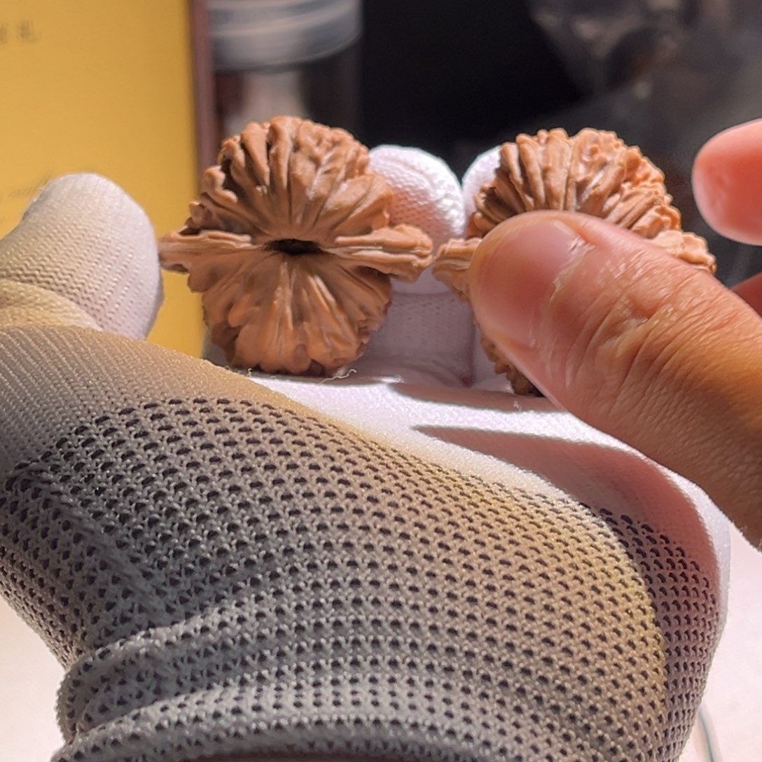 7***丶楼子楼子楼子楼子 