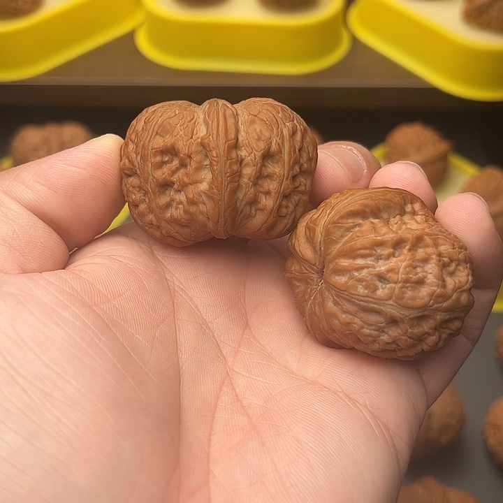 45尺精配红皮大克重元宝