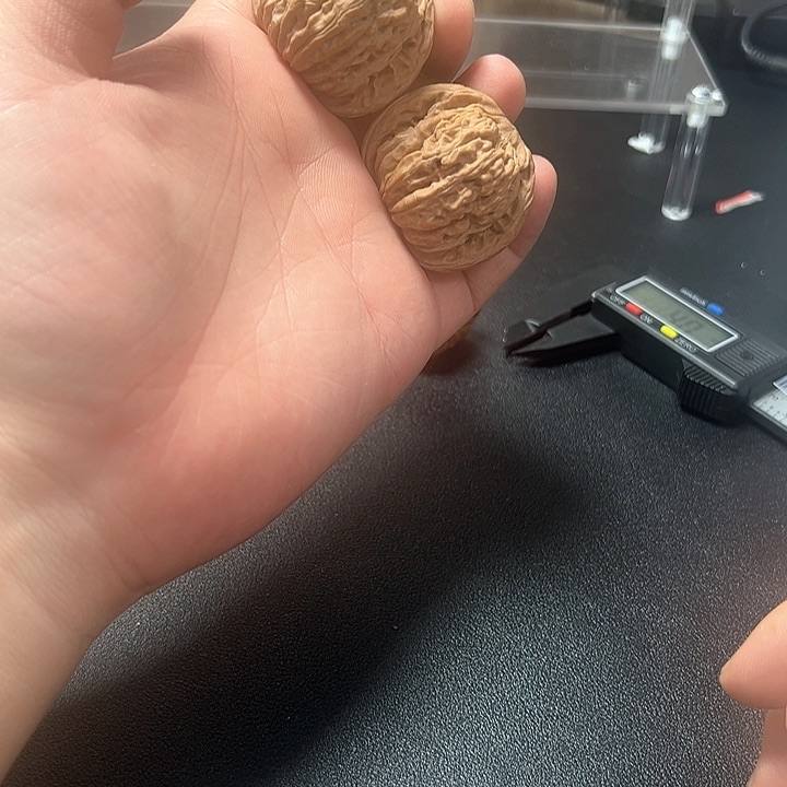 文玩核桃把件35汉高楼福利