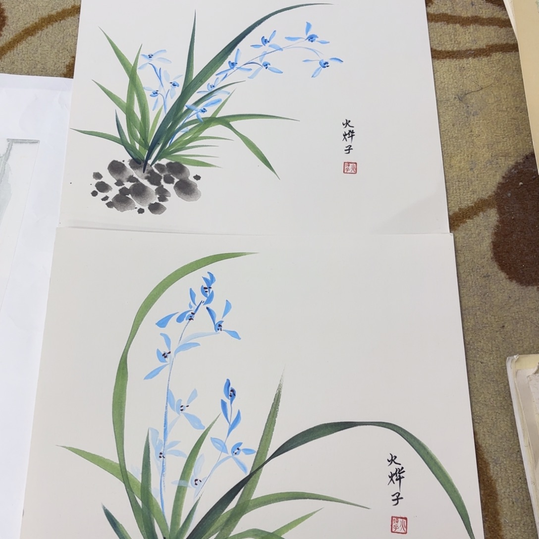 国画李李李希李欣主播