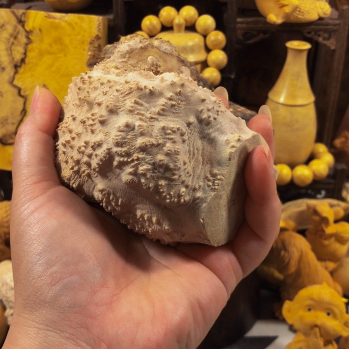 贤***明木木料木料木料木料木料