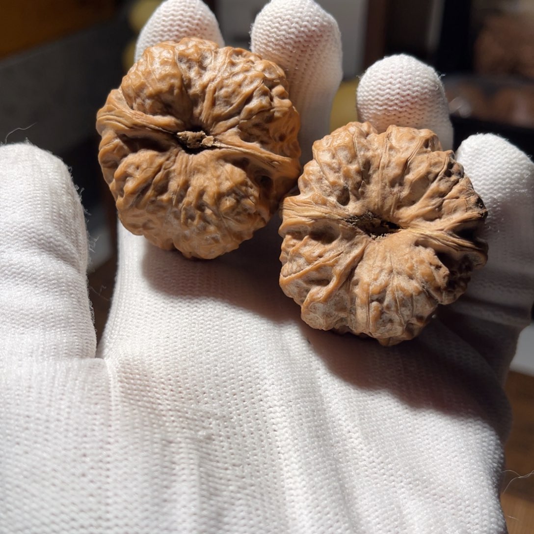 文玩核桃把件41蛤蟆全品，不退不换