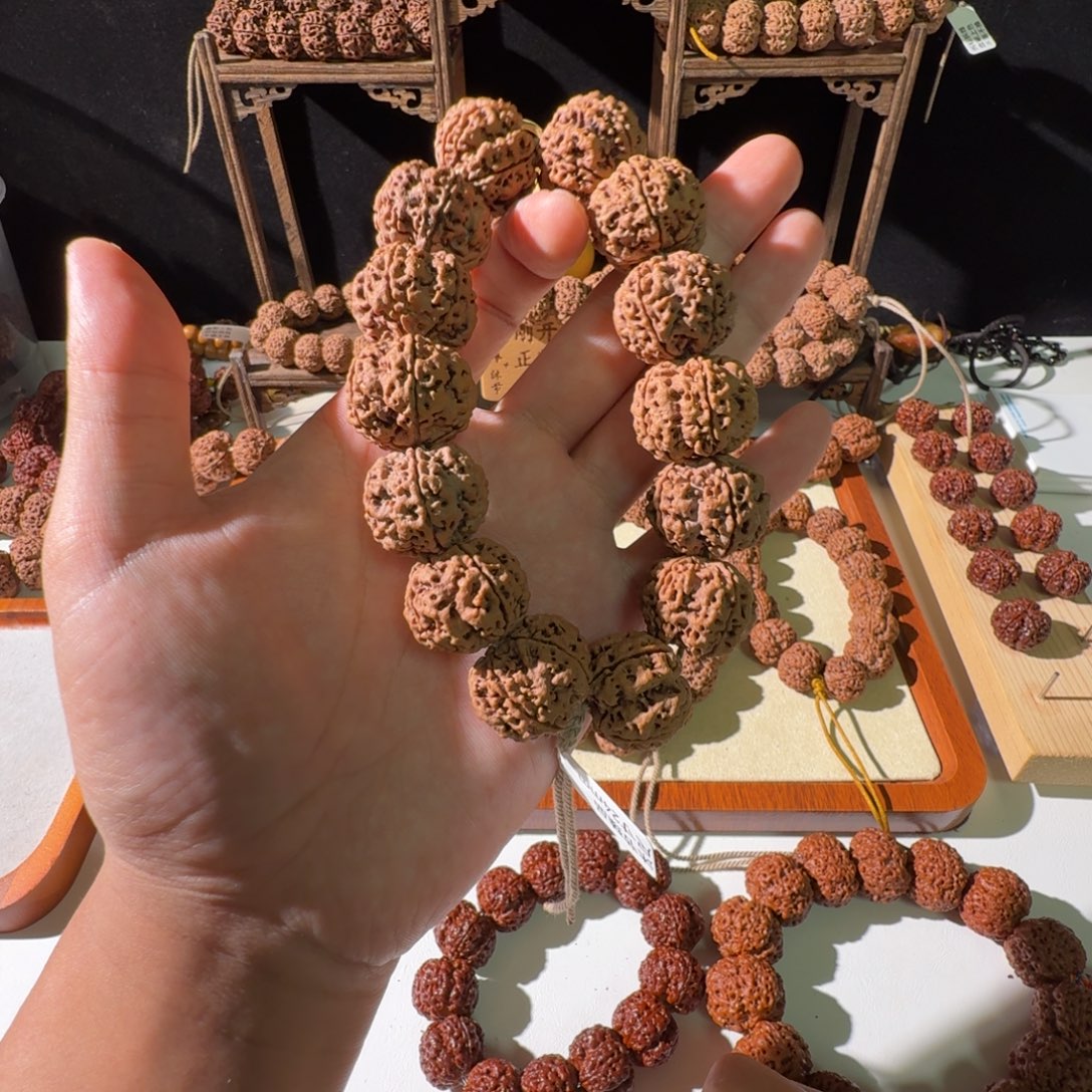 手串金刚菩提24尺寸原生态