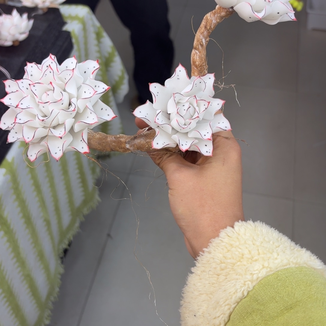 树脂30号哦哦哦哦哦哦哦