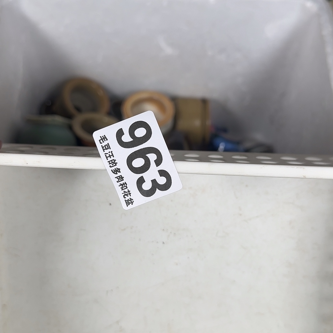 张***元963 花盆 瑕疵特惠 no退no换