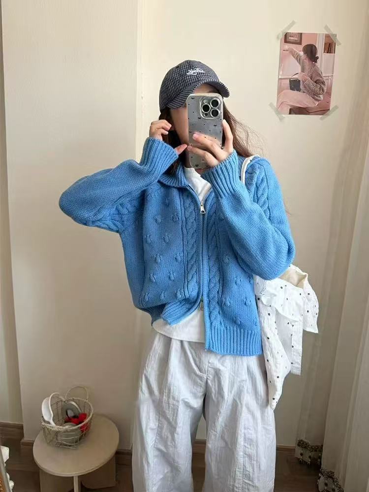 2025秋季新款时尚休闲翻领宽松毛衣女设计感小众慵懒风针织开衫