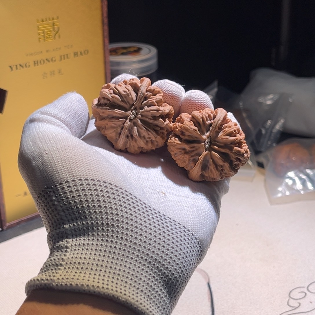 D***H粗筋粗筋粗筋粗筋。