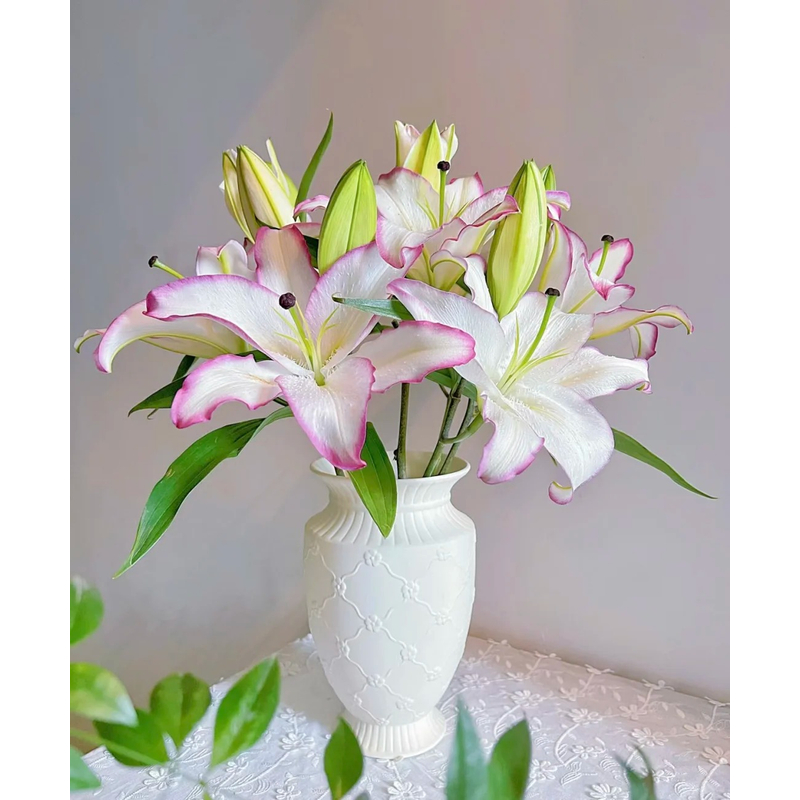 【唇彩】香水百合 一单包邮 云南鲜花昆明基地现采现发